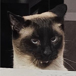 Meet your Posher, Estefany